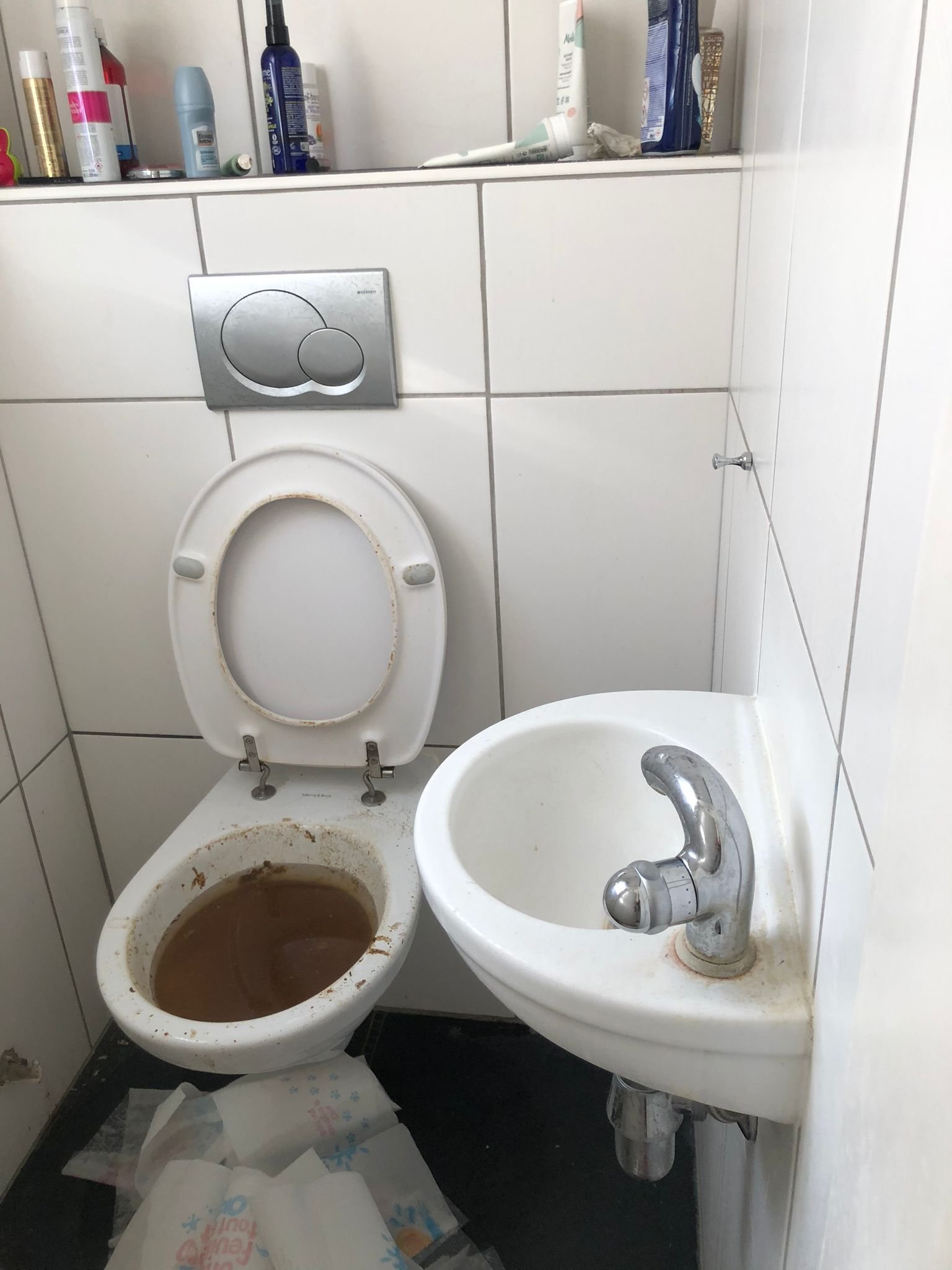 Débouchage de WC bouché à Luxembourg – MS Renovation